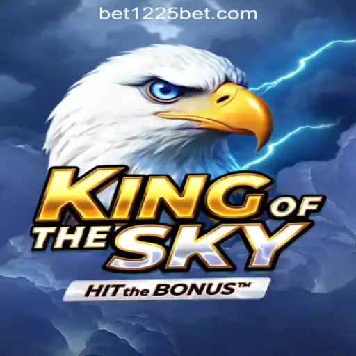 Explore the Thrilling World of KingOfTheSky: A Premier Gaming Experience